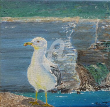 Painting titled "Mouette Corse" by Marie-Noëlle Amiot, Original Artwork, Oil