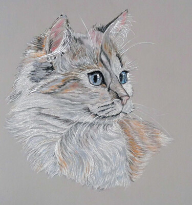 Drawing titled "chat" by Marie-Noelle Roy, Original Artwork, Pastel