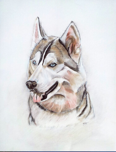 Pintura titulada "husky.jpg" por Marie-Noelle Roy, Obra de arte original, Pastel