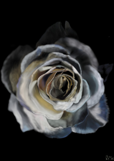Painting titled "Rose in flou" by Marie Perony, Original Artwork, Digital Painting
