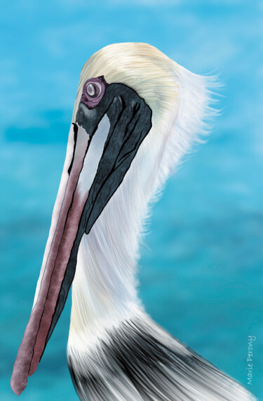 Pintura intitulada "Le pelican" por Marie Perony, Obras de arte originais, Pintura digital