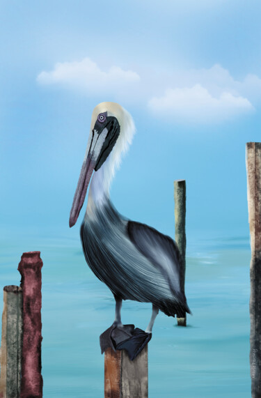 Painting titled "Pelican" by Marie Perony, Original Artwork, Digital Painting