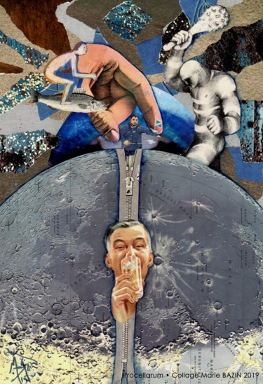 Collages titled "PROCELLARUM - Colla…" by Marie Bazin, Original Artwork, Collages