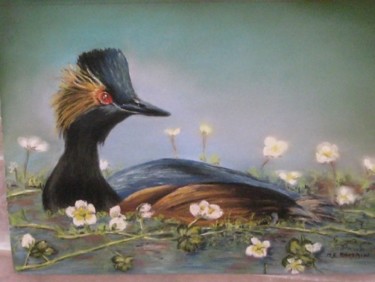 Peinture intitulée "grebe au cou noir" par Marie Claude Ramain, Œuvre d'art originale