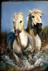 Peinture intitulée "les chevaux camargu…" par Marie Claude Ramain, Œuvre d'art originale