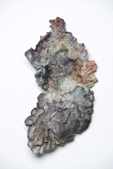 Sculpture titled "Lichen N°1" by Marie Gueydon De Dives, Original Artwork, Clay