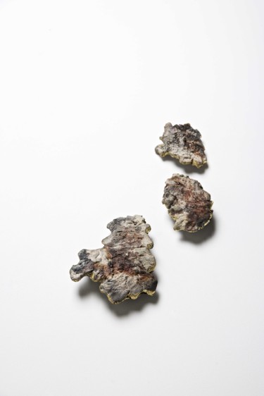 Sculpture intitulée "Lichen N°4" par Marie Gueydon De Dives, Œuvre d'art originale, Argile
