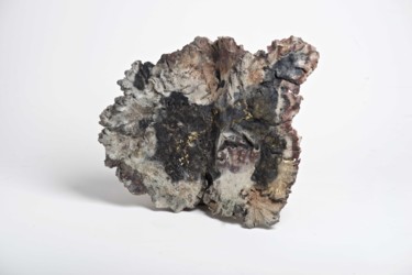 Sculpture intitulée "Lichen N°10" par Marie Gueydon De Dives, Œuvre d'art originale, Argile