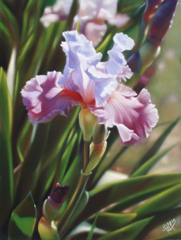 Malarstwo zatytułowany „"Iris" floralies da…” autorstwa Marie-Hélène Yernaux, Oryginalna praca, Pastel