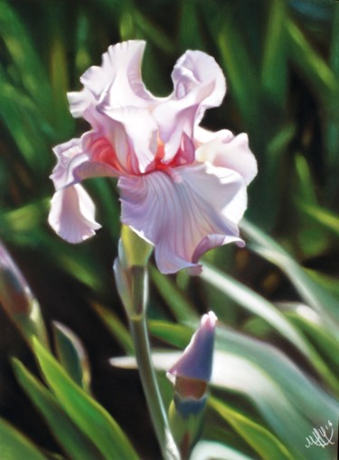 제목이 ""Iris" floralies da…"인 미술작품 Marie-Hélène Yernaux로, 원작, 파스텔