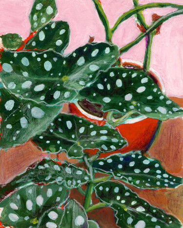 Painting titled "Bégonia maculata, f…" by Marielle Robichaud, Original Artwork, Acrylic