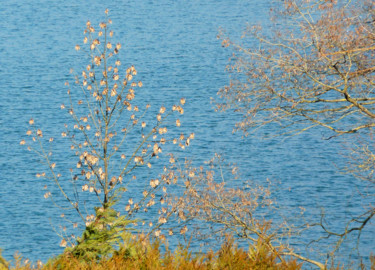 Feuilles d'or Photographie intitulée "Feuilles d'or" par Marie Sienne, Œuvre d'art originale, Photographie numérique