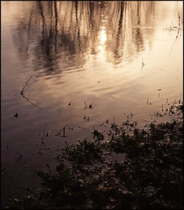 Photographie intitulée "la loire (2)" par Marie Vdb, Œuvre d'art originale