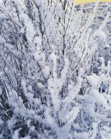 Photographie intitulée "Winter" par Mariia Fedorova, Œuvre d'art originale, Photographie numérique