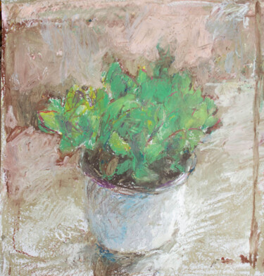 Pittura intitolato "My new plant" da Mariia Kurbatova, Opera d'arte originale, Pastello