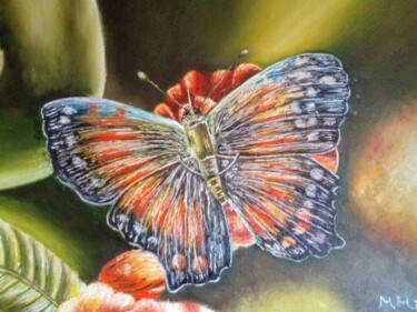 Pintura intitulada "Butterfly on red fl…" por Marija Mitrovic, Obras de arte originais, Óleo