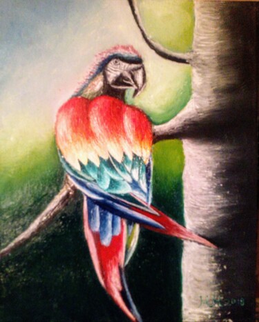 Painting titled "Rainbow parrot" by Marija Mitrovic, Original Artwork, Oil