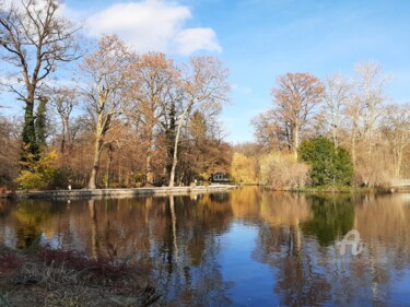 Photography titled "Nature, Photography…" by Marija Sviličić, Original Artwork, Digital Photography