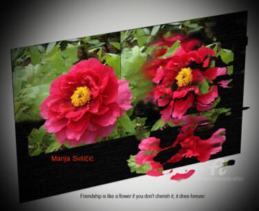 Digital Arts titled "Flower- Digital wor…" by Marija Sviličić, Original Artwork, Manipulated Photography