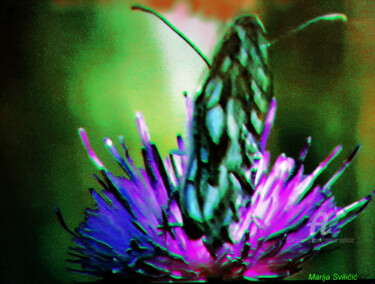 Digital Arts titled "Butterfly flower -…" by Marija Sviličić, Original Artwork, Digital Painting