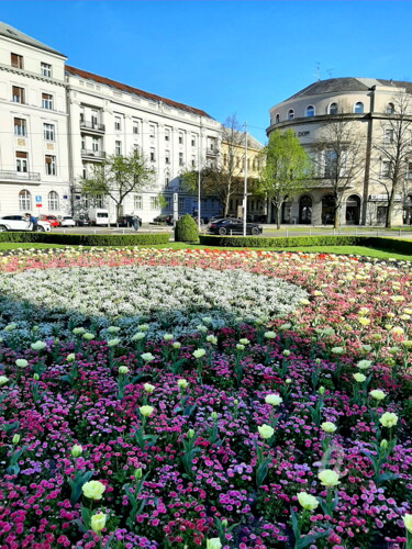 Photographie intitulée "Foto - Flower beaut…" par Marija Sviličić, Œuvre d'art originale, Photographie numérique