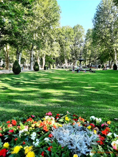 Fotografie mit dem Titel "Photo Favorite park…" von Marija Sviličić, Original-Kunstwerk, Digitale Fotografie