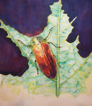 Painting titled "Colorful beetle" by Marijke Vanwezer, Original Artwork, Watercolor