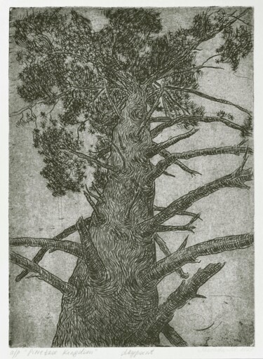 Estampas & grabados titulada "Pinetree Kingdom" por Maslova, Obra de arte original, Grabado