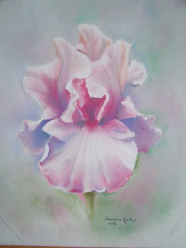 Dessin intitulée "Iris rose" par Marilyn Bourgois, Œuvre d'art originale, Pastel Monté sur Aluminium