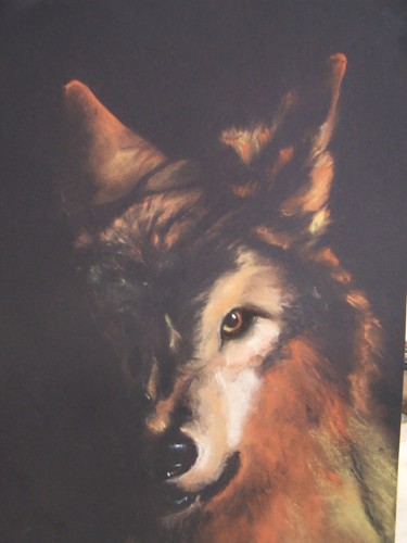 Dessin intitulée "Loup brun" par Marilyn Bourgois, Œuvre d'art originale, Pastel Monté sur Aluminium