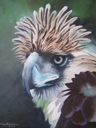 Painting titled "Aigle des philippin…" by Marilyn Bourgois, Original Artwork, Oil