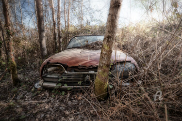 Fotografia zatytułowany „Arbre à cames” autorstwa Marilyne K., Oryginalna praca, Fotografia cyfrowa