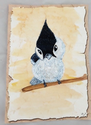 Drawing titled "Tufted titmouse." by Marie Ruda, Original Artwork, Watercolor