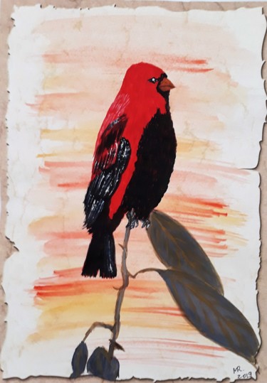 Rysunek zatytułowany „Scarlet Finch.” autorstwa Marie Ruda, Oryginalna praca, Akwarela