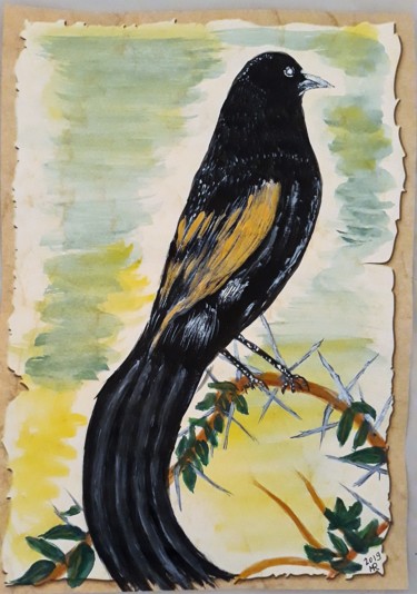 Dessin intitulée "Long-tailed widowbi…" par Marie Ruda, Œuvre d'art originale, Aquarelle