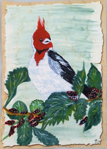 Desenho intitulada "Red-crested cardina…" por Marie Ruda, Obras de arte originais, Aquarela