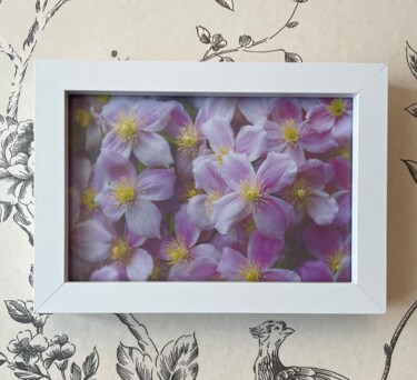 摄影 标题为“Pink flowers 🌸” 由Marina Black, 原创艺术品, 数码摄影 安装在纸板上