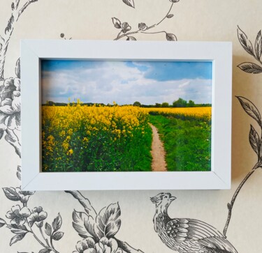 Fotografie mit dem Titel "Nature Field" von Marina Black, Original-Kunstwerk, Digitale Fotografie Auf Karton montiert