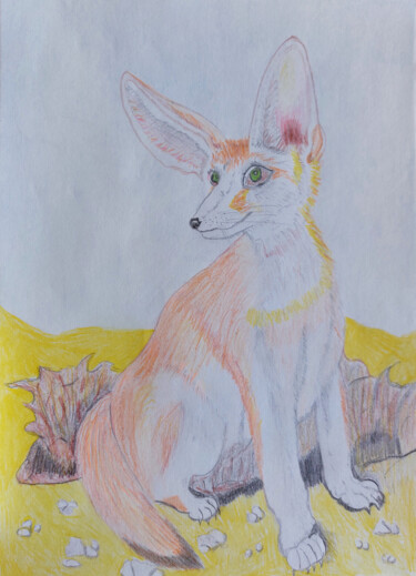 Drawing titled "Fennec fox" by Marina Danko, Original Artwork, Conté