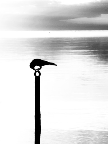 8 from PHOTO GRAPHIC collection Photographie intitulée "8 from PHOTO GRAPHI…" par Марина Курныш, Œuvre d'art originale, Photographie numérique