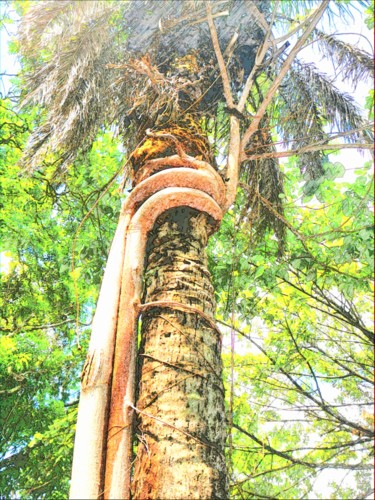 Цифровое искусство под названием "Plant, palm tree, n…" - Plaline, Подлинное произведение искусства, Фотомонтаж