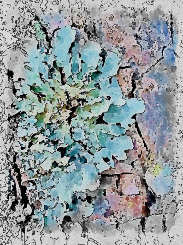 Arte digitale intitolato "Plant leaf, wood, f…" da Plaline, Opera d'arte originale, Fotomontaggio