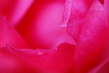 Photographie intitulée "Au bord du Coeur" par Marine Lacaton, Œuvre d'art originale, Photographie numérique