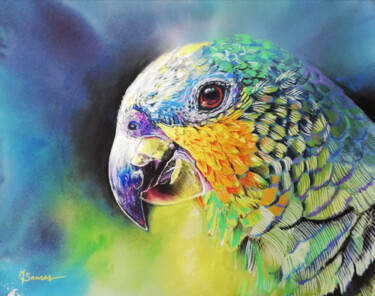 Pintura titulada "Portrait perroquet" por Marine Sansas, Obra de arte original, Pastel