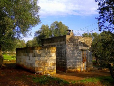 Photography titled "villa e giardino" by Mario Venza, Original Artwork