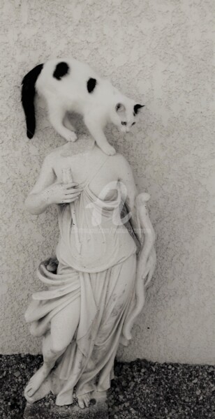 Photographie intitulée "Le chat à la statue" par Marion Kormann, Œuvre d'art originale, Photographie numérique