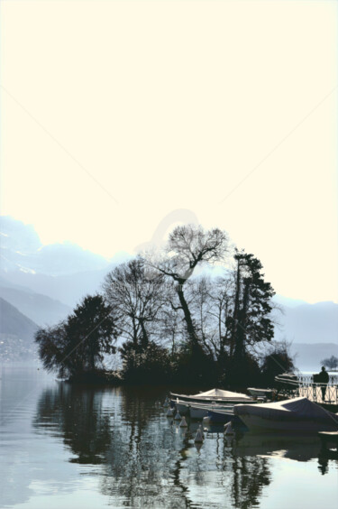 Fotografía titulada "l'île aux cygnes" por Marion Kormann, Obra de arte original, Fotografía digital