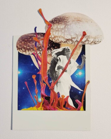 Collages intitolato "Champignon magique" da Marion Revoyre, Opera d'arte originale, Collages