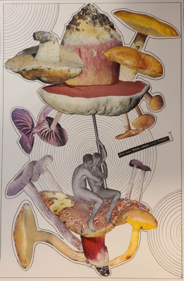 Collages intitolato "Bolet Satan" da Marion Revoyre, Opera d'arte originale, Collages