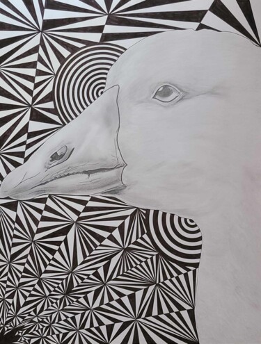 Drawing titled "Goose" by Marion Revoyre, Original Artwork, Pencil